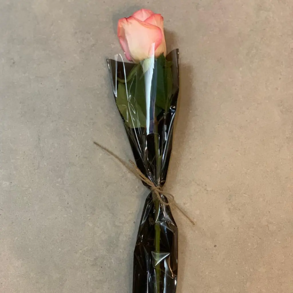 Elegant Rose
